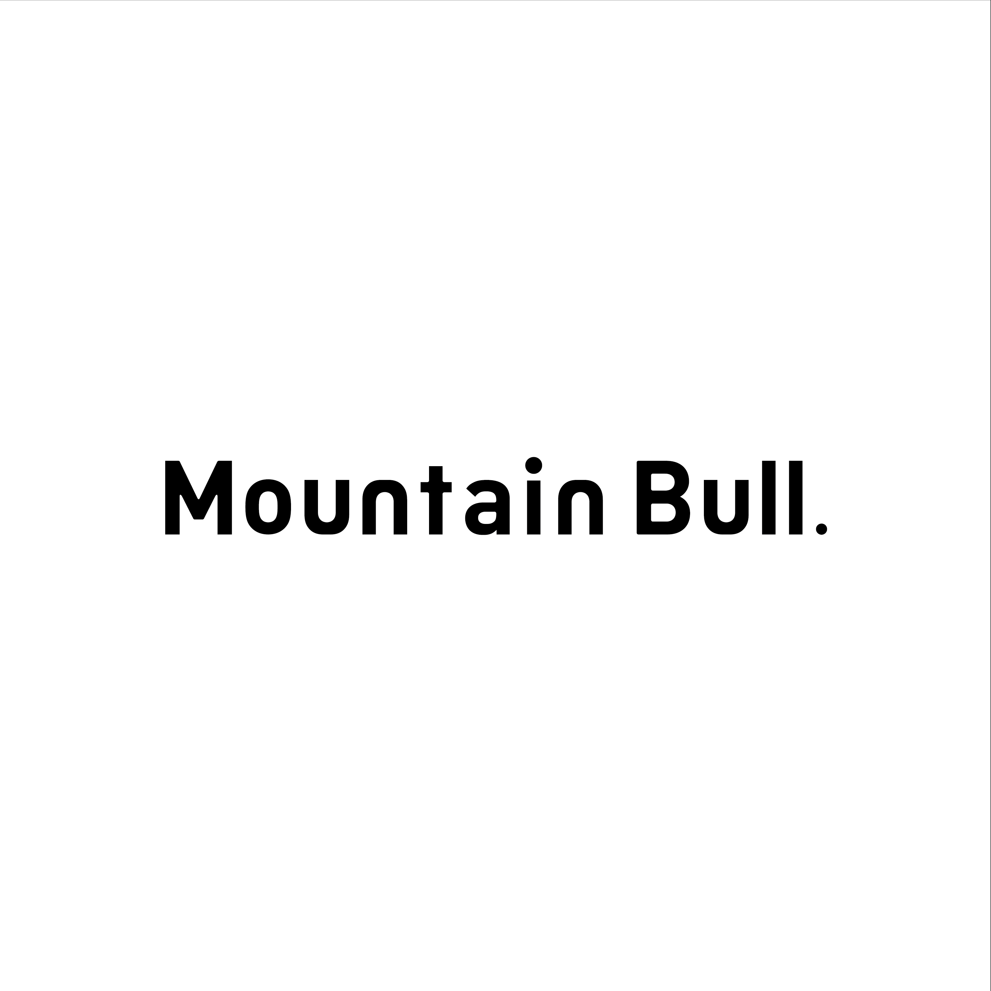 株式会社Mountain Bull
